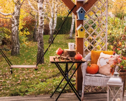 Terrasse automne