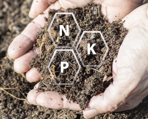 NPK