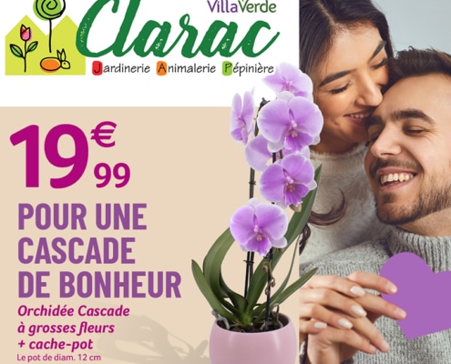 article carré