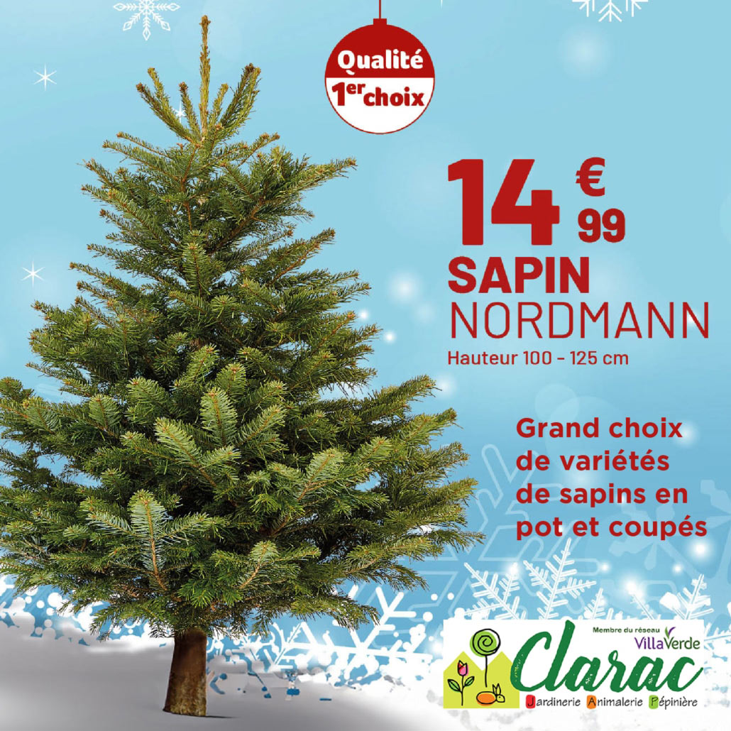 Sapin de Noël Jardinerie à Pamiers en Ariège Clarac