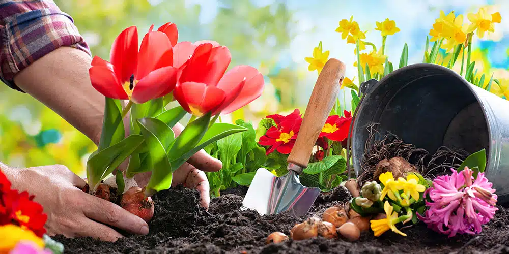 Jardin fleuri au printemps avec outils de jardinage