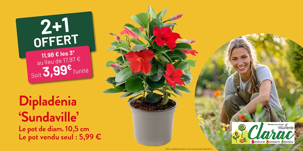 Offre printemps jardinage
