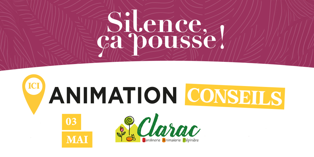 Silence ça pousse