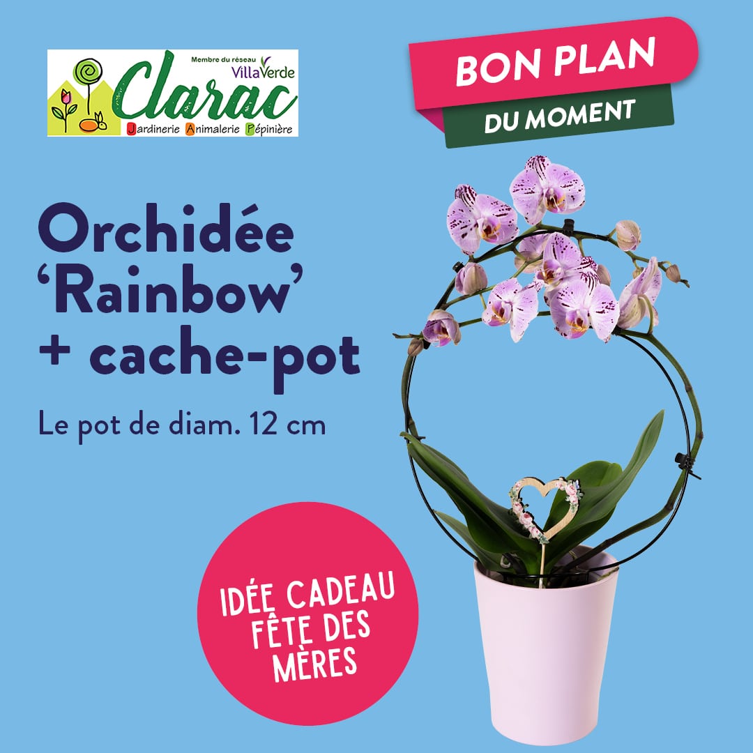 Idées cadeaux : Fête des mères