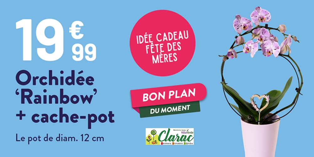Idées cadeaux : Fête des mères