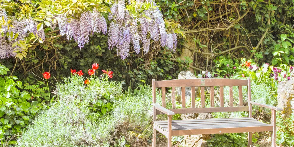 photo jardin romantique