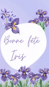Iris fête