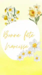 Narcisse fête