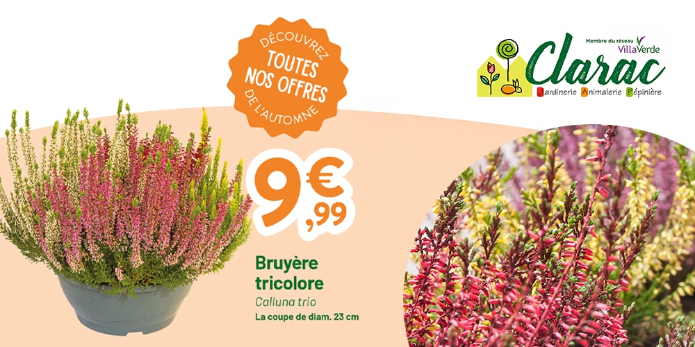 Promotions Toussaint Jardinerie Clarac