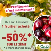 promo fruitiers