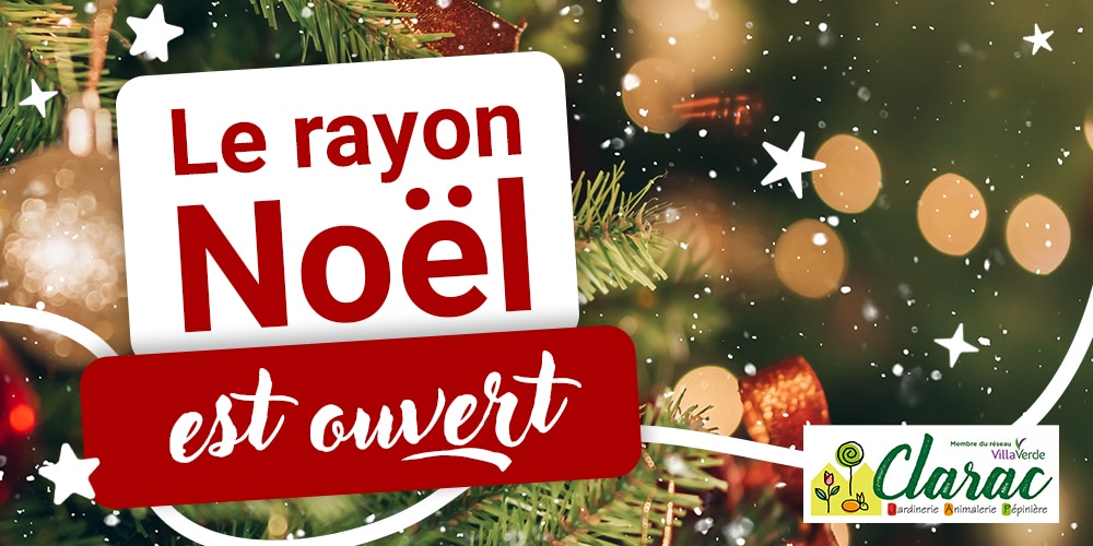 Rayon Noël Jardinerie Clarac – décorations et lumières