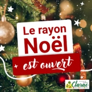 Rayon Noël Jardinerie Clarac – décorations et lumières