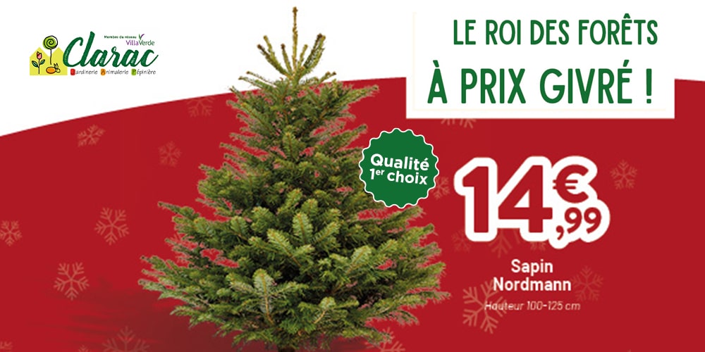 sapin nordmann promo