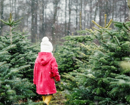 Une petite fille au milieu de sapins