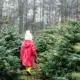 Une petite fille au milieu de sapins