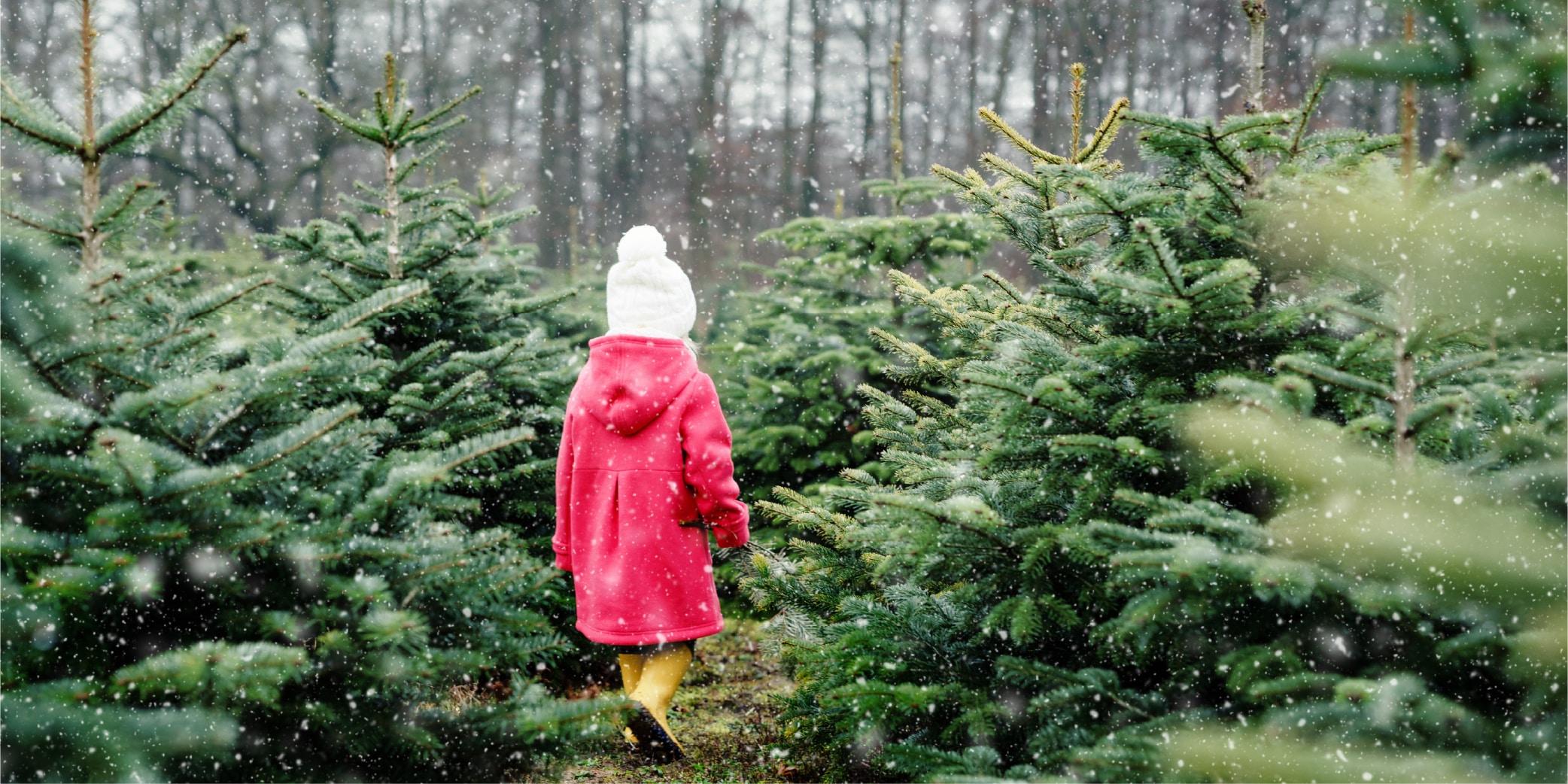 Une petite fille au milieu de sapins