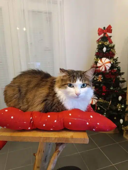 Nala