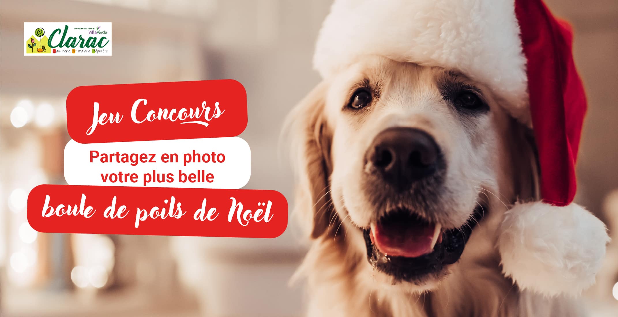 Jeu concours Noel Jardinerie Clarac Jeu concours Noel Jardinerie Clarac