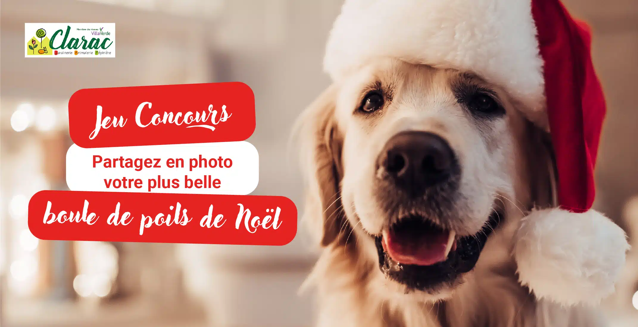 Jeu concours Noel Jardinerie Clarac Jeu concours Noel Jardinerie Clarac