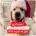 Jeu concours Noel Jardinerie Clarac