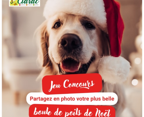 Jeu concours Noel Jardinerie Clarac