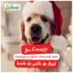 Jeu concours Noel Jardinerie Clarac