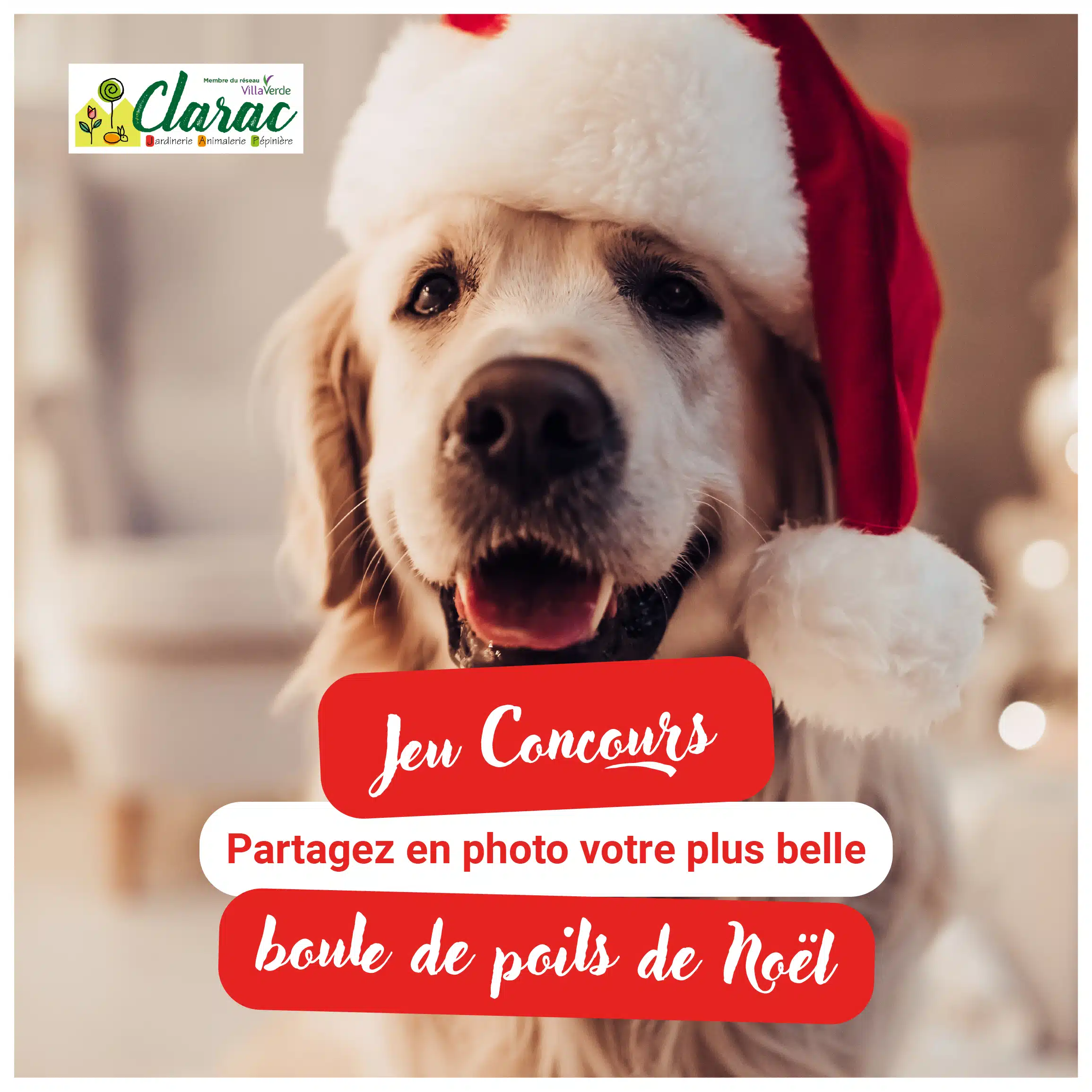 Jeu concours Noel Jardinerie Clarac