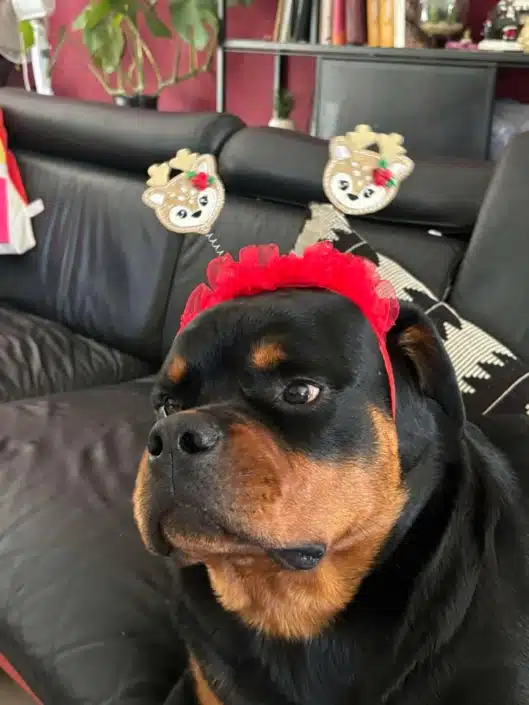 Ares