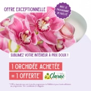 Offre fidélité orchidées : Jardinerie Clarac