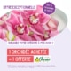 Offre fidélité orchidées : Jardinerie Clarac