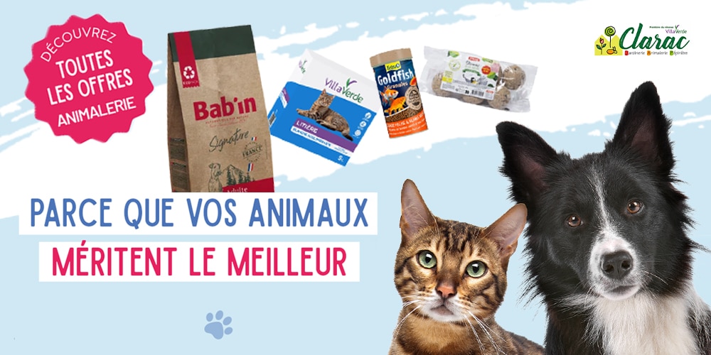 opération animalerie opération animalerie