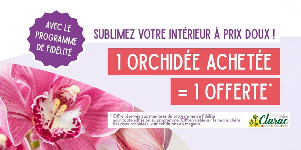 Offre fidélité orchidées Offre fidélité orchidées