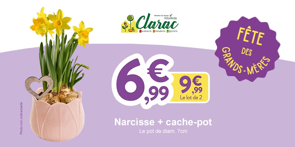 Fête des Grands-mères - Jardinerie Clarac Fête des Grands-Mère - Jardinerie Clarac