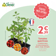 Catalogue potager clarac