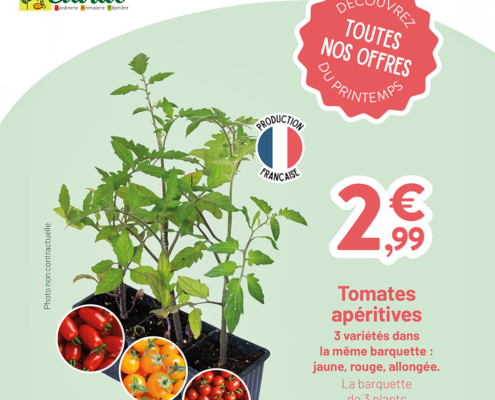 Catalogue potager clarac