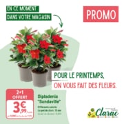Catalogue printemps