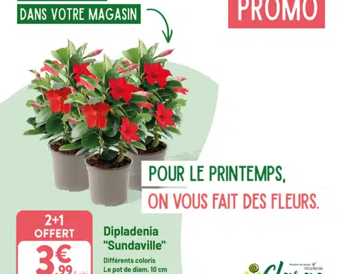 Catalogue printemps