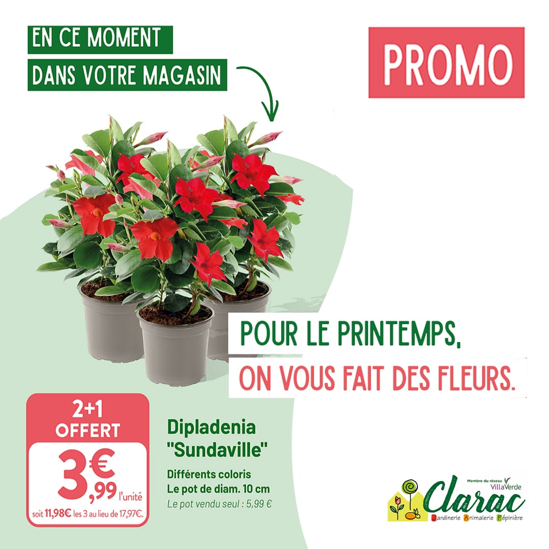 Catalogue printemps
