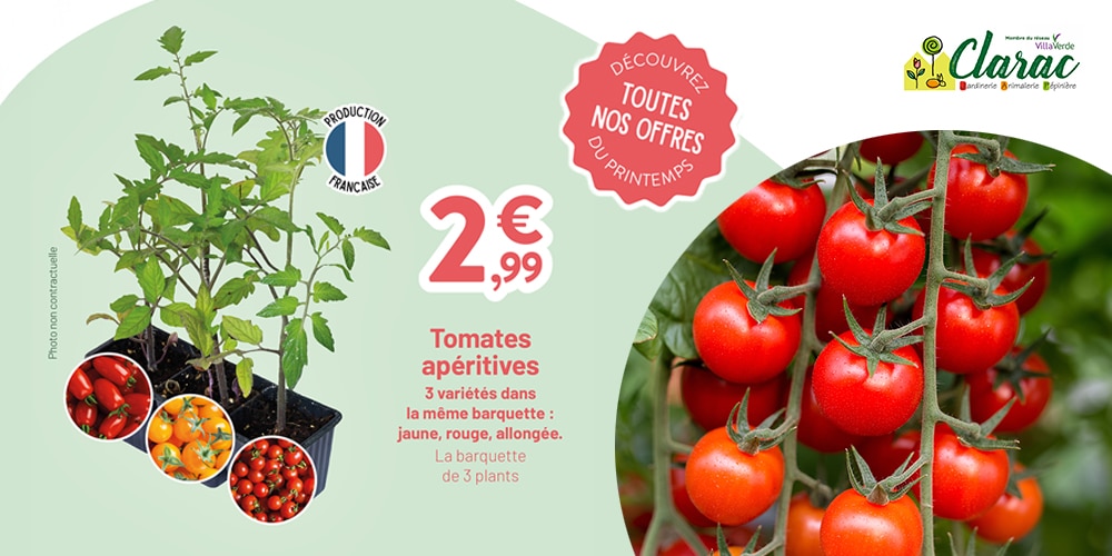 Catalogue potager clarac Catalogue potager clarac