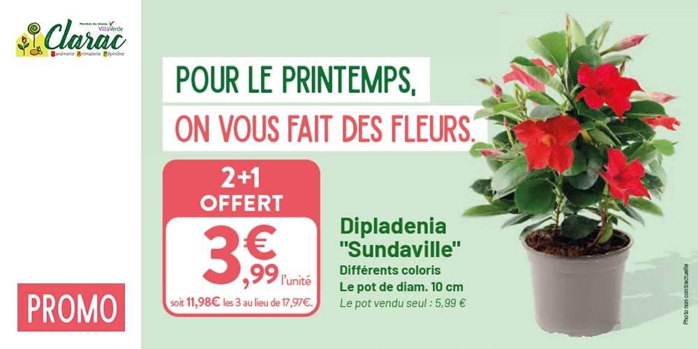 Catalogue printemps Catalogue printemps