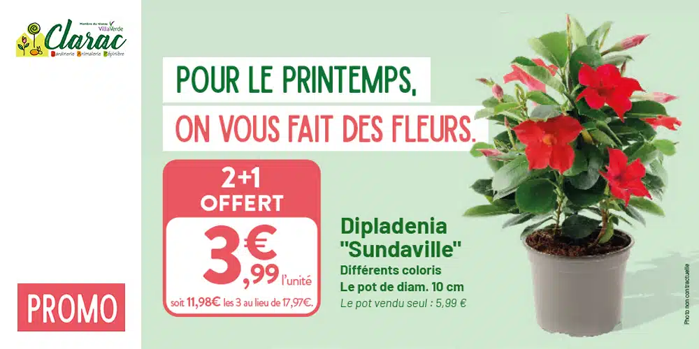 Catalogue printemps Catalogue printemps