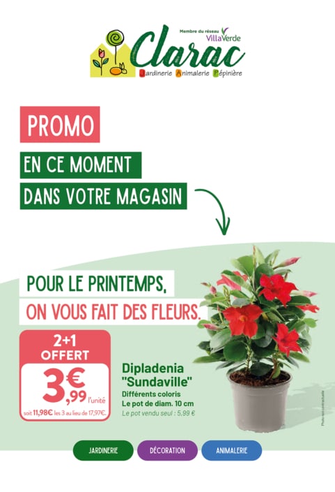 VV_CATALOGUE_PRINTEMPS2_2026_12P_WEB-1