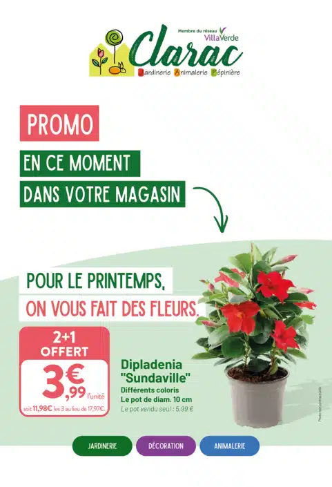 VV_CATALOGUE_PRINTEMPS2_2026_12P_WEB-1