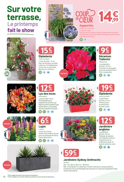 VV_CATALOGUE_PRINTEMPS2_2026_12P_WEB-10