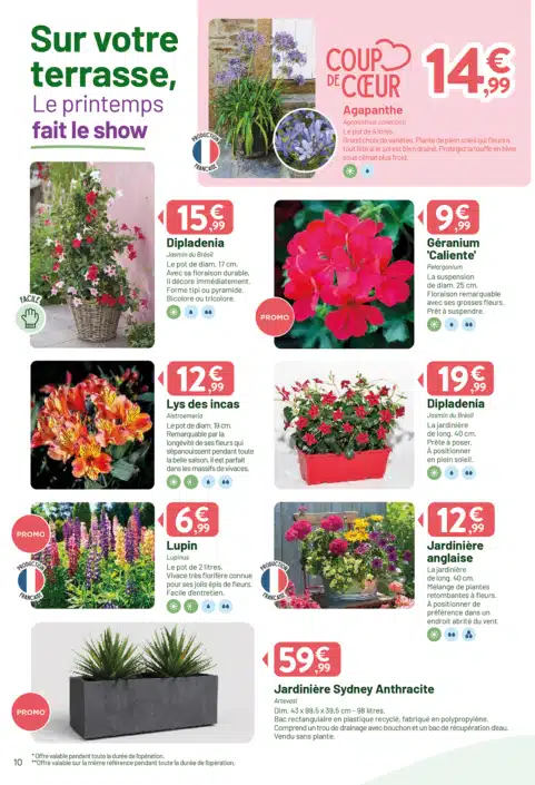 VV_CATALOGUE_PRINTEMPS2_2026_12P_WEB-10