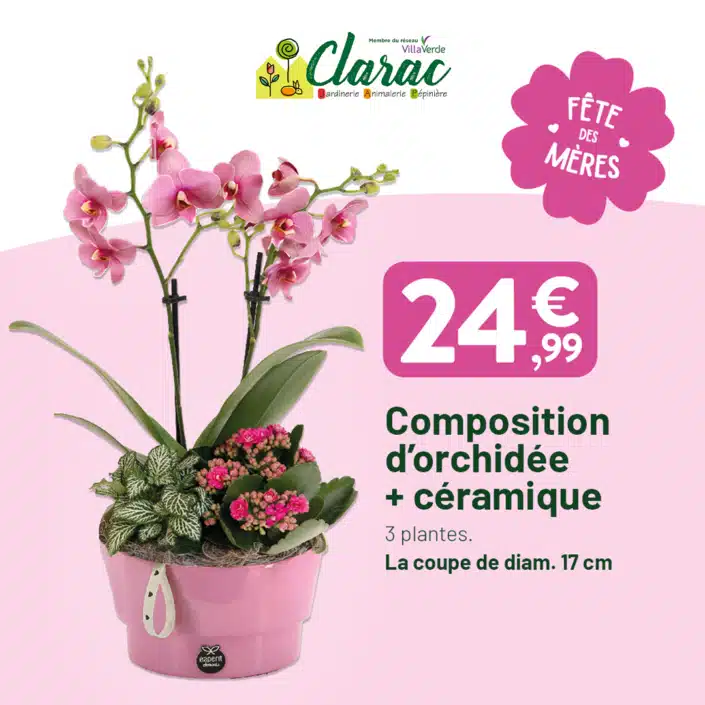 Offres spéciales fête des Mères Offres spéciales fête des Mères