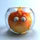 adoptez poisson rouge