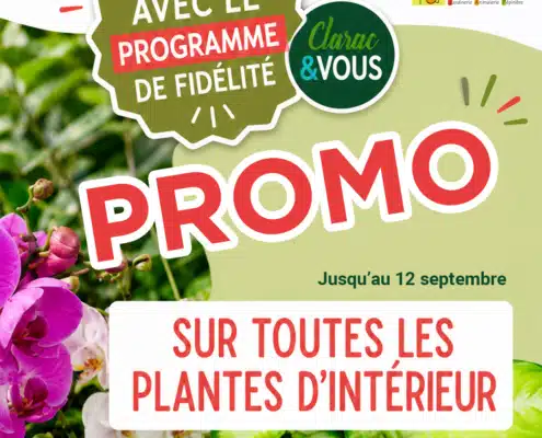 promo plantes d'intérieur