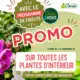 promo plantes d'intérieur