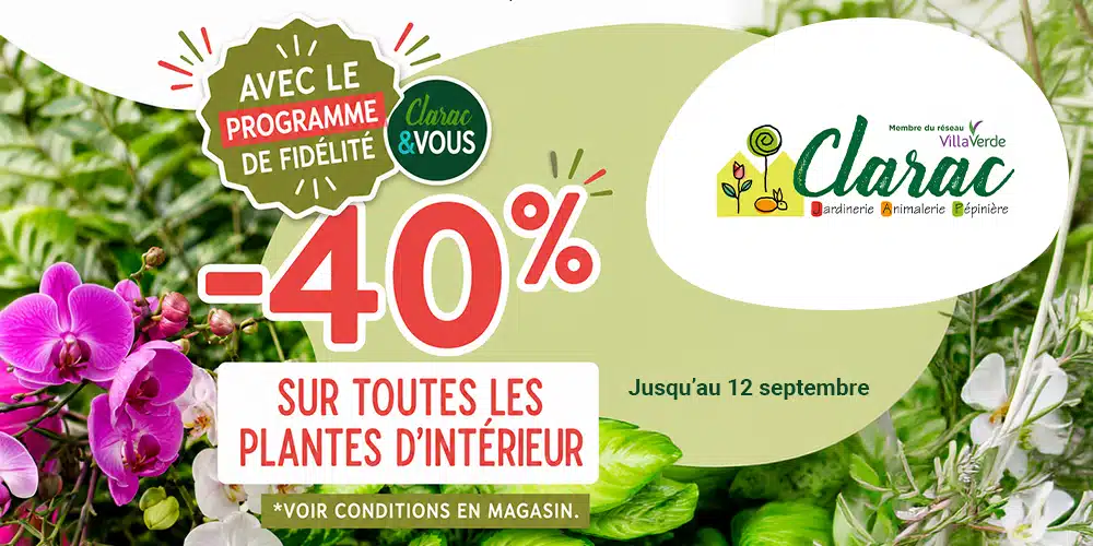 promo plantes d'intérieur promo plantes d'intérieur